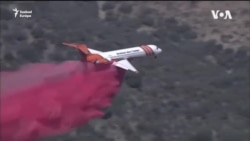 Aszályok és erdőtüzek figyelmeztetnek a klímaváltozásra