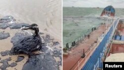 Птица в мазут, заснета на руския бряг в Керченския проток, и разцепеният на две танкер "Волгонефт". Колаж.