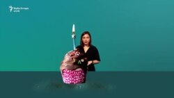 Rrugëtimi i taksës