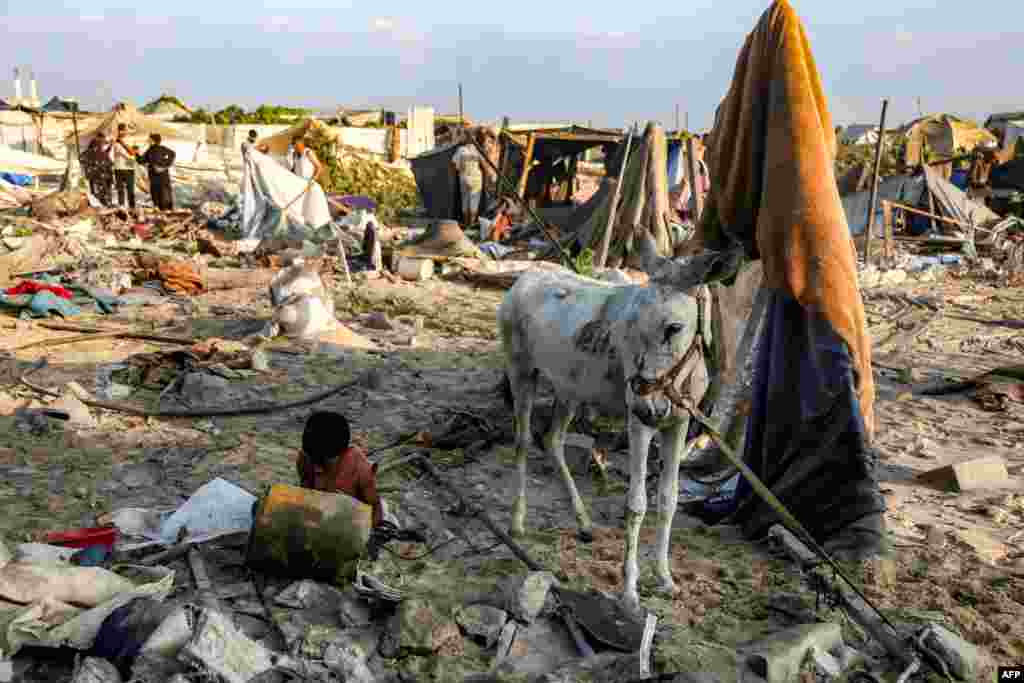 Magarac stoji pored dječaka uz šatore uništene u izraelskom bombardovanju naselja na sjeverozapadu Kan Junisa u južnom Pojasu Gaze 28. jula 2025.