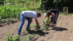 Studenti poljoprivrednici