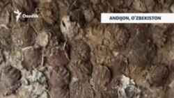 "Иложимиз йўқ, таппи ёқамиз"
