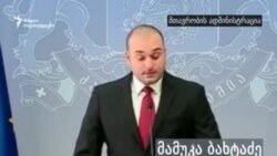 მამუკა ბახტაძე ხე-ტყის უკანონო ჭრის შესახებ