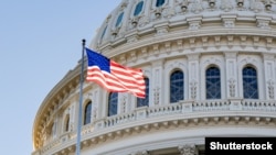 „ჰელსინკის კომისიამ“, რომელიც 50-ზე მეტ ქვეყანაში ადამიანის უფლებების, დემოკრატიისა და სხვა მნიშვნელოვან საკითხებზე მუშაობს, ჯერ კიდევ საქართველოს პარლამენტში პრეზიდენტის ვეტოს დაძლევამდე დაარეგისტრირა „MEGOBARI აქტი”.