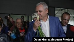 Liviu Dragnea în căutarea legumelor otravite 