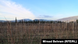 Vinogradi na trasi Koridora Vc, Mostar Bosna i Hercegovina.