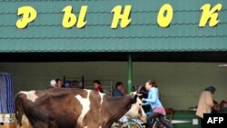 Иллюстративное фото. 