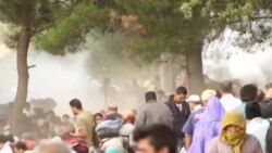 Солзавец против група мигранти на границата со Грција