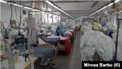 Varroda Romániában.