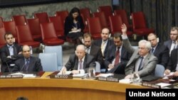 ვიტალი ჩურკინი ვეტოს უფლებას იყენებს