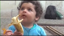 САД и предизвиците на Европа