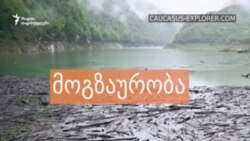 ნუცა ცქიმანაური: ჩვენ მარტო ვართ ამ პრობლემის წინაშე