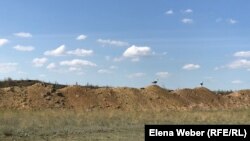 Птицы на земляных валах, которые частично ограждают территорию мусорного полигона