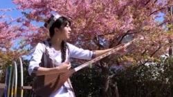 Ҷопоние, ки мафтуни мусиқии тоҷикӣ шуд