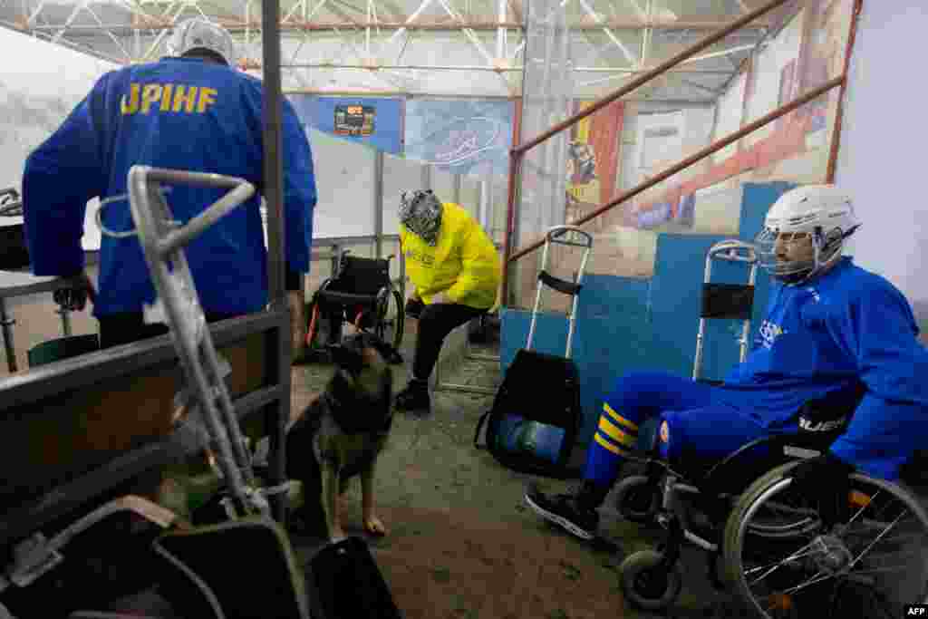 A szövetség célja egy állandó nemzeti para-jégkorong liga létrehozása és egy ukrán nemzeti csapat kialakítása