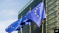 საილუსტრაციო ფოტო: ევროკავშირის დროშები