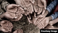 Képünk illusztráció