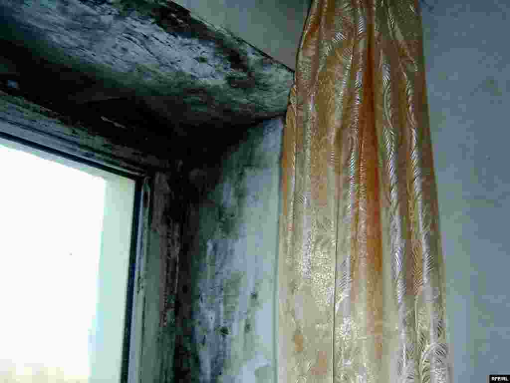 Грибки появляются на стенах в комнатах вновь и вновь, несмотря на борьбу с ними самих жильцов. Плесень неистребима. - Грибки появляются на стенах в комнатах вновь и вновь, несмотря на борьбу с ними самих жильцов. Плесень неистребима. 