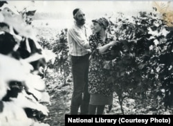 ამირან ქადეიშვილი ფილმში: „სიყვარული ყველას უნდა“.