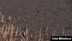 Un lac secat aflat în preajma satului Gavrilovca, Sîngerei 