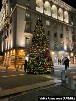 Коледната елха на площад "Света Неделя", 26 ноември 2024 г.