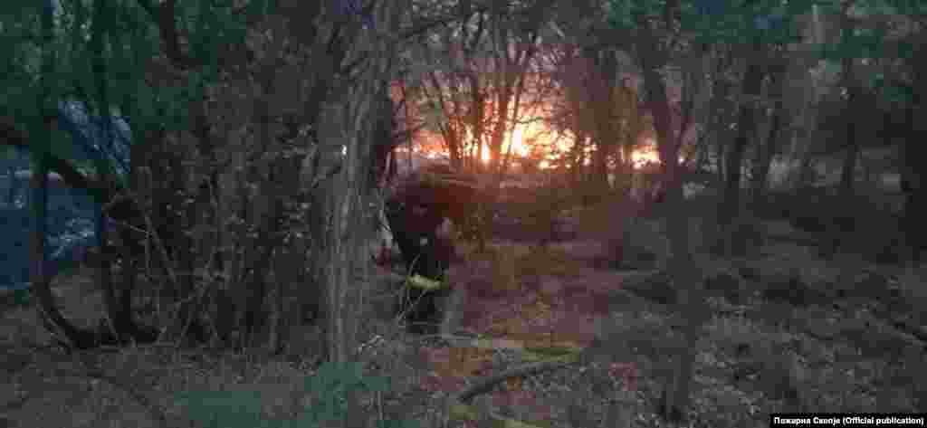 Пожарникарите од Скопје помагаат во гаснењето на пожарите во Кочани и во Старо Нагоричане