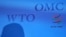 На самом деле, простая картинка – Россия очень хочет в ВТО, а Грузия ей мешает - весьма далека от действительности