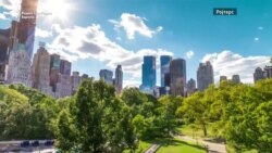 Дали човекот може да ја спаси природата?