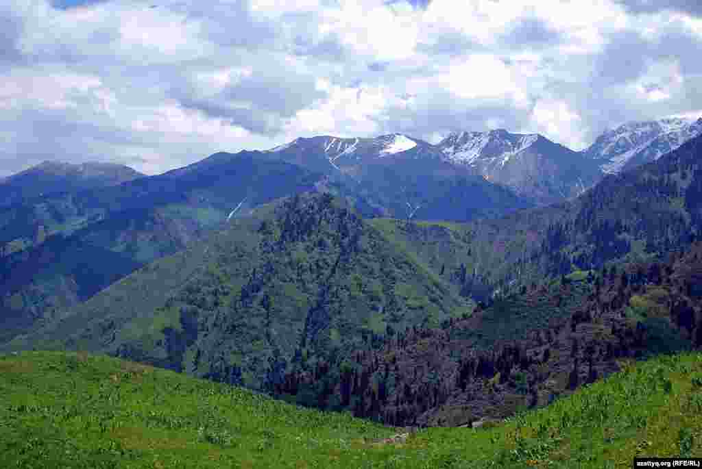 Пятикилометровый подъем в горы проходил среди сочно-зеленой&nbsp;растительности, цветочных полян, цветущих кустарников и деревьев. Вокруг были потрясающие красотой и величием виды.