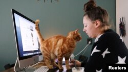 Një grua duke punuar nga shtëpia në Holandë.