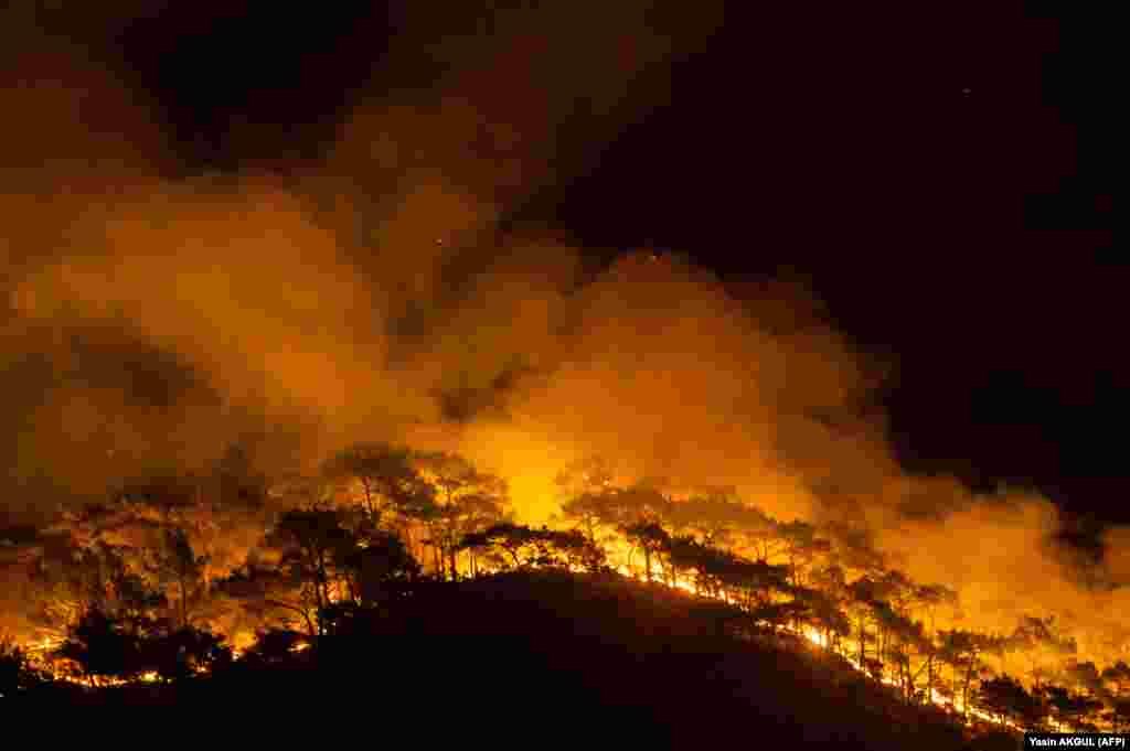 Šuma gori pošto je veliki požar zahvatio mediteransko odmaralište u okrugu Marmaris u Mugli, 1. avgusta 2021. godine.