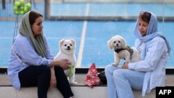 Parc din Teheran, 8 iunie 2025. Asemenea imagini ar putea deveni o raritate în Iran.