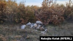 Izgradnja solarne elektrane u hercegovačkom kršu je još daleko od početka, jer rastinje još nije ni raščišćeno.