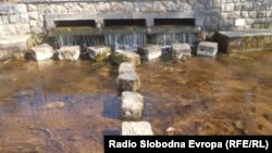 Биљанини извори во Охрид