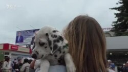 Bălți: afișe electorale în ziua alegerilor