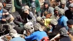 Аспи Шоҳиён - ғолиби бузкашӣ дар Мӯъминобод