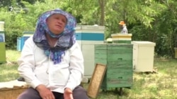 La prisaca lui Grigore