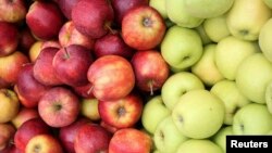 Recolta estimativă de mere din acest an este de 405.000 de tone, în scădere cu circa 40% față de anul trecut
