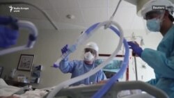 Varianti Delta gjunjëzon botën