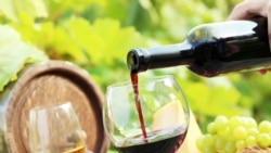 În 2017 Republica Moldova a înregistrat o producere-record de vinuri
