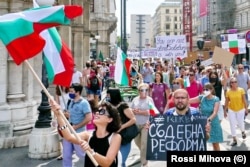 Протестиращи българи оргазнизираха шествие във Виена с плакати на български, английски и немски, за да привлекат вниманието на жителите на австрийската столица.