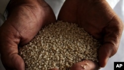 Trgovac drži gnojivo koje sadrži amonijev nitrat, ilustrativna fotografija