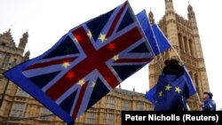 Britanci traže spas u novoj stranci kako bi zaustavili Brexit