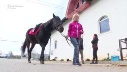 Terapijsko jahanje na Čokorskim poljima