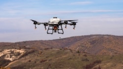 Uz dron i seme, Priština u borbi protiv krčenja šuma