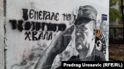 Mural s likom osuđenog ratnog zločinca u Njegoševoj ulici