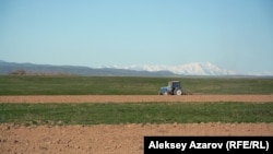 Торги по аренде зачастую проходят с участием лишь одного заявителя