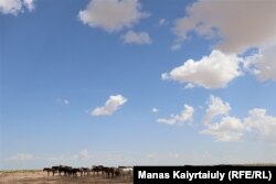 Табун лошадей рядом с зимовкой Улек. Правительство Казахстана выделило на борьбу с засухой 1,9 миллиарда тенге (4,4 миллиона долларов) из госрезерва. Их, как сообщалось, направят на частичное возмещение затрат на корма для маточного поголовья животных, состоящего на учете