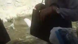 Martor ocular | Câteva ore înainte de explozie: imagini de pe Aeroportul Kabul