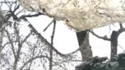 Војната во Украина во 2025 година во услови на промена на политичката клима